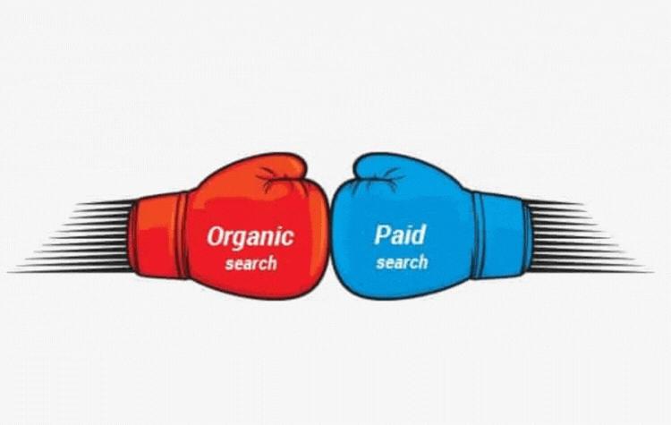 Finding Harmony between Paid and Organic Search in Digital Marketing